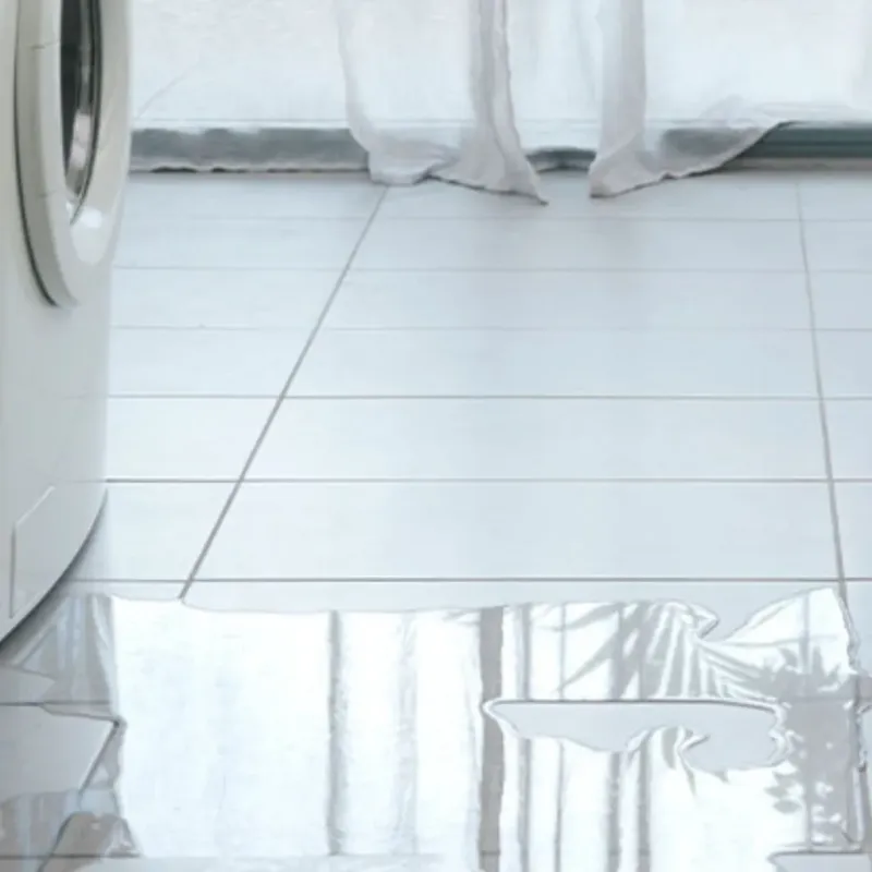 Appliance Leak Cleanup in West Carson, CA