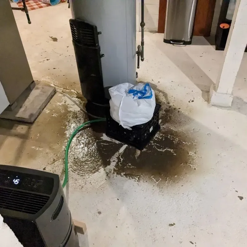 Sewage Backup Cleanup Service in West Carson, CA